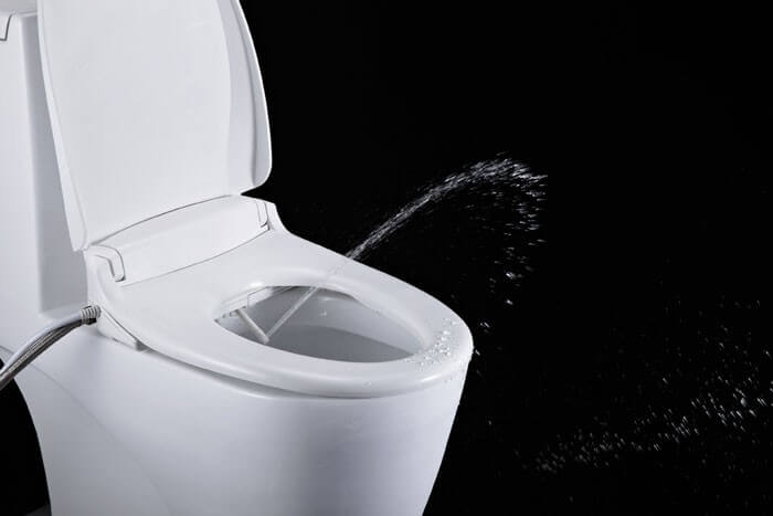 10 Reasons Why Everyone Needs A Bidet Toilet Seat Hyper Home